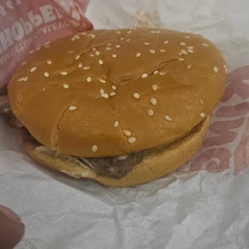 Burger King Siparişimde Yanlış Burger, Eksik Malzeme Ve Küçük Patates: Ücret İadesi Talebi