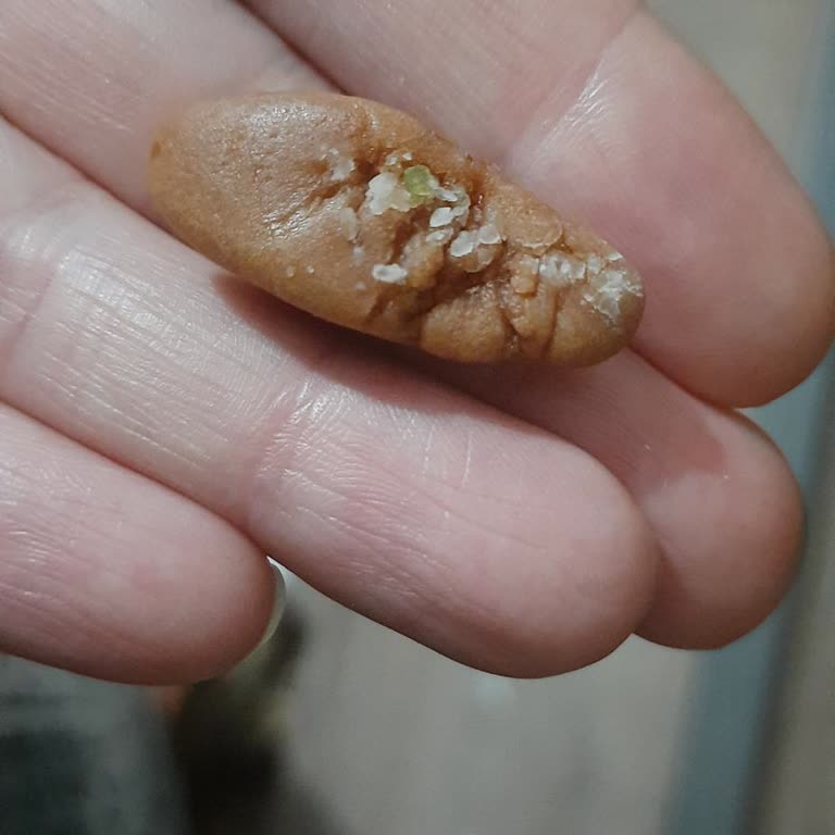 Bebeto Jelibonunda Yabancı Madde: Hijyen Ve Gıda Güvenliği Endişesi