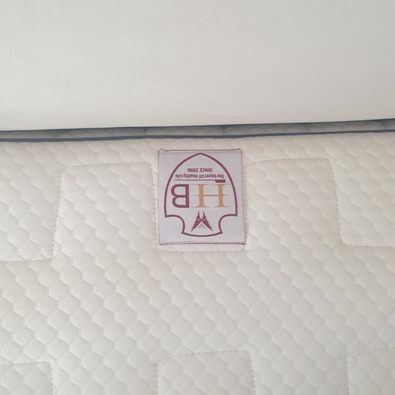 Hiss Bedding Yatak Pişmanlık Yaşama