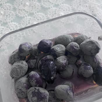 MarmaraBirlik Zeytininde Bozulma, Fişi Olmadan İade Reddi