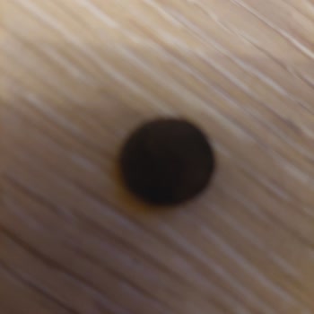 Bozuk Köpek Maması Ve Cevapsız Satıcı Nedeniyle Geciken İade Süreci