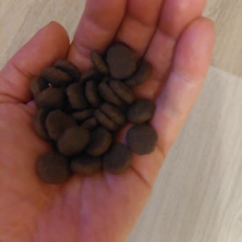 Bozuk Köpek Maması Ve Cevapsız Satıcı Nedeniyle Geciken İade Süreci