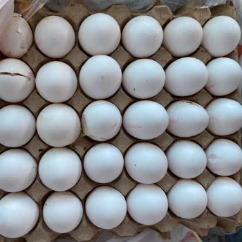 Teslimat Gecikmesi Ve Kırık Yumurtalar İçin İade Talebi