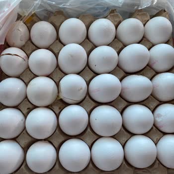 Teslimat Gecikmesi Ve Kırık Yumurtalar İçin İade Talebi