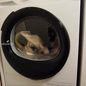 Grundig 10884 Kurutma Makinesinden Çıkan Ses!