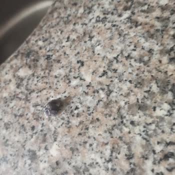 Pepsi 1,5 L'lik İçecek İçinde Böcek Benzeri Cisim Bulunması