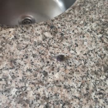 Pepsi 1,5 L'lik İçecek İçinde Böcek Benzeri Cisim Bulunması