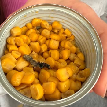 Konserve Mısırda Bulunan Tırtıla Karşı Sağlık Endişesi Ve Telafi Talebi