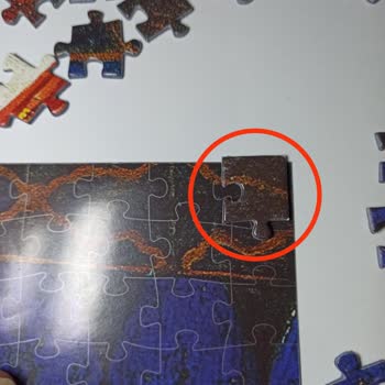 Kaplumbağa Terbiyecisi Puzzle’da Parça Uyumsuzluğu Ve Yanıtsızlık