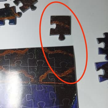 Kaplumbağa Terbiyecisi Puzzle’da Parça Uyumsuzluğu Ve Yanıtsızlık