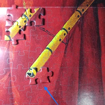 Kaplumbağa Terbiyecisi Puzzle’da Parça Uyumsuzluğu Ve Yanıtsızlık
