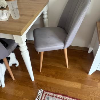 Yeni Sandalye Kırıldı, Müşteri Hizmetleri Cevapsız