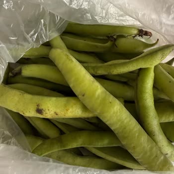 Migros Sanal Marketten Bozuk Ürünler ve Aşırı Ücret