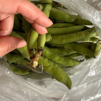 Migros Sanal Marketten Bozuk Ürünler ve Aşırı Ücret