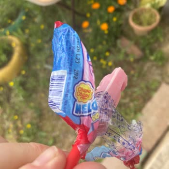 Chupa Chups Topitop Şekerinde Sinek Bulunması Hijyen Sorunu