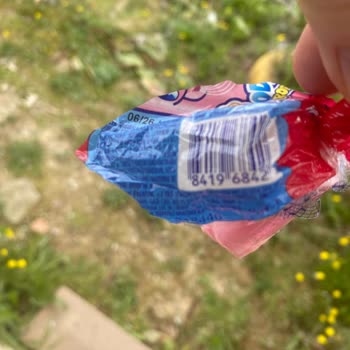 Chupa Chups Topitop Şekerinde Sinek Bulunması Hijyen Sorunu