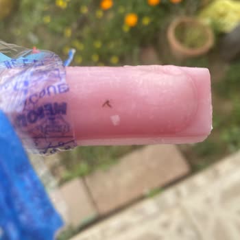 Chupa Chups Topitop Şekerinde Sinek Bulunması Hijyen Sorunu