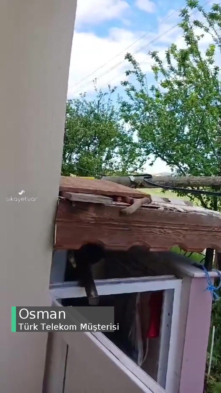 Türk Telekom Telefon Direği Devrilmiş videonun kapak resmi