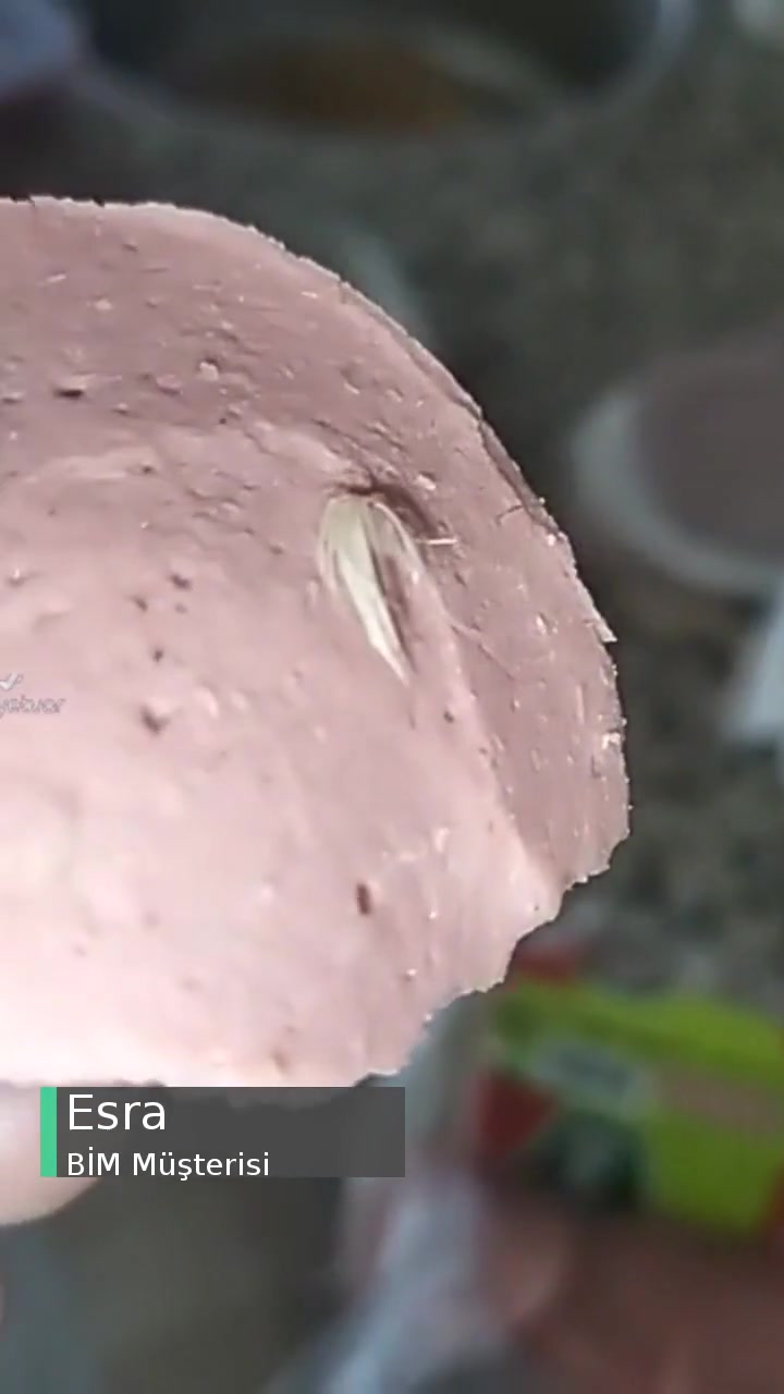 BİM Tombik Piliç Salam İçinde Tüy Çıktı videonun kapak resmi