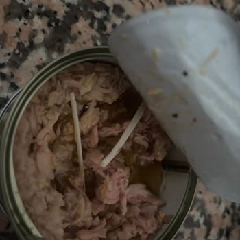 Fide Ton Balığındaki Kocaman Kemik Parçaları Gıda Güvenliğini Tehdit Ediyor