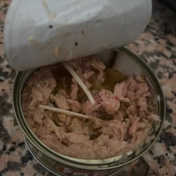 Fide Ton Balığındaki Kocaman Kemik Parçaları Gıda Güvenliğini Tehdit Ediyor