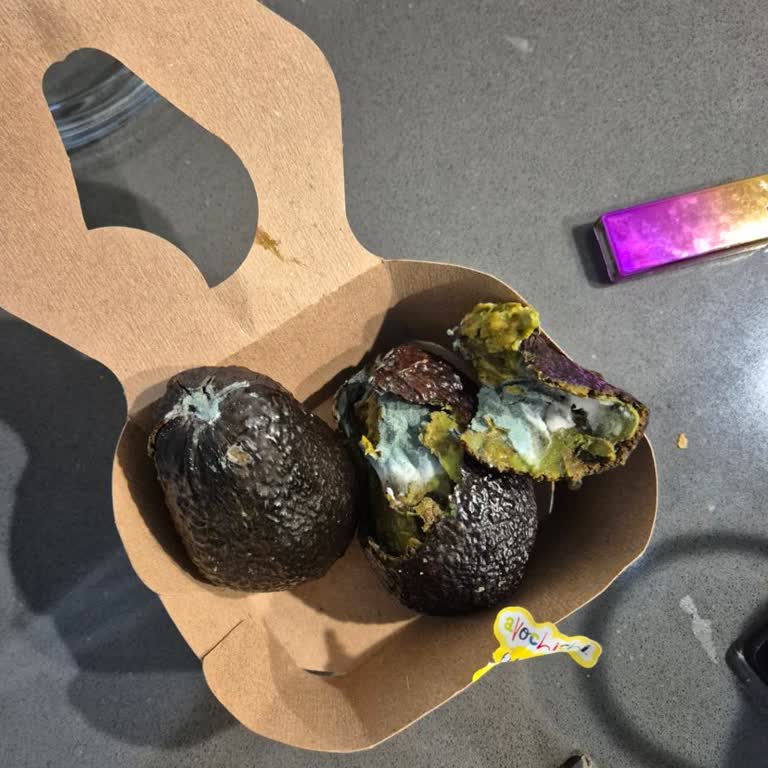 Rize A101 Şubesinden Alınan Avokadolar Küflü Çıktı, Mail Gönderilemiyor