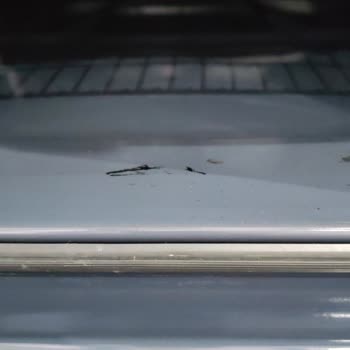 Garanti Süresi İçinde Boya Dökülmesi Ve Paslanma Nedeniyle Yeni Ankastre Fırın Talebi