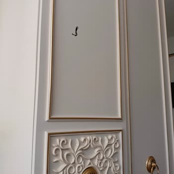 Tecno Spark Slim 5G Telefonunun Kamerasındaki Leke Sorunu Ve Değişim Talebi