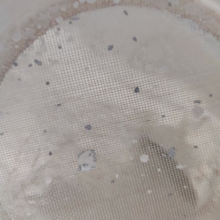 BİM'den Satın Alınan Efsane Un Paketi Bozulmuş Kokuyla Karşılaşıldı, İade Talebi