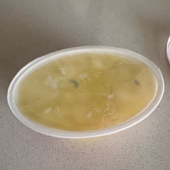 Son Kullanma Tarihi Geçmemiş Ekici Peynirinde Küflenme: Sağlık Endişesi