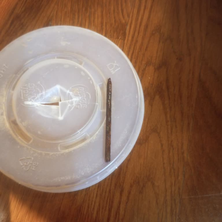 Burger King Şubesinde Ice Latte İçinde Paslı Çivi Gıda Güvenliğini Tehdit Ediyor