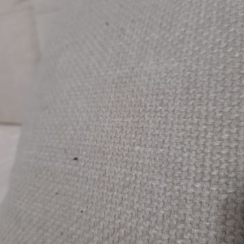 Varena Koltuk Takımında Erken Tüylenme Ve Servis İlgisizliği