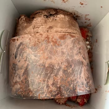 Kırık Pasta Ve 10 Gün Bekleyen İade Süreci Şikayetim