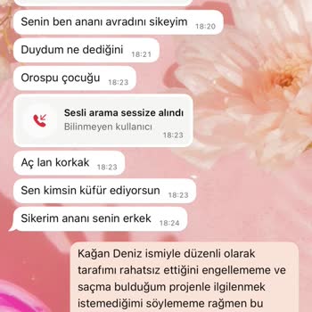WhatsApp Üzerinden Sürekli Rahatsız Eden Ve Hakaret İçeren Mesaj Gönderen Numaralar