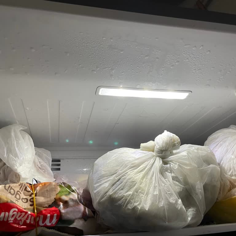 Uğur Soğutma Buzdolabının Derin Dondurucu Sorunu Ve Servis Müdahalesine Rağmen Çözülmedi