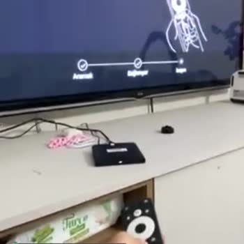 Botech Wzone Kumanda Çalışmıyor