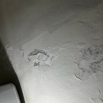 Başvurularım Her Seferinde Mütevelli Heyeti Tarafından Reddediliyor