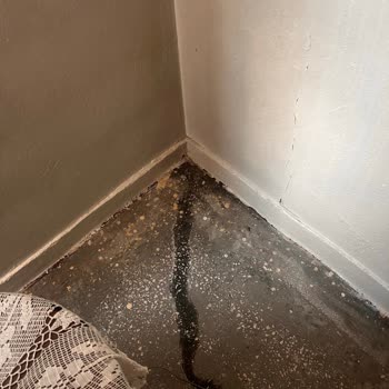 Başvurularım Her Seferinde Mütevelli Heyeti Tarafından Reddediliyor