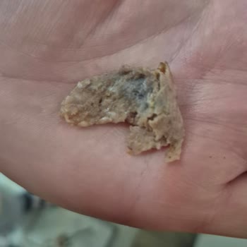 Küflü Döner Ürünüyle Karşılaşılan Hijyen Sorunu Ve Güven Kaybı