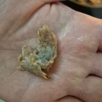 Küflü Döner Ürünüyle Karşılaşılan Hijyen Sorunu Ve Güven Kaybı