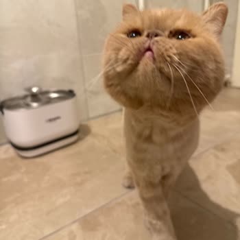 Şarj Ünitesi Hızla Arızalandı Ve Destek Yok, Garanti Kapsamında Onarım Talebi