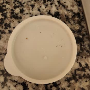 Silikon Kapakta Küf Problemi