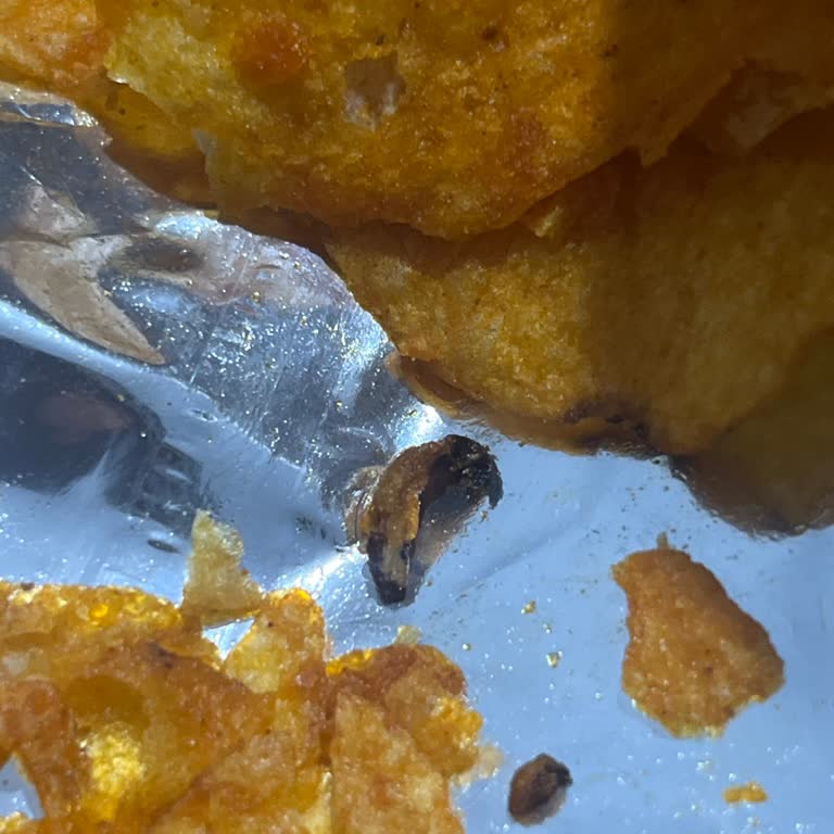 Lays Cipsinde Böcek Tespiti Hijyen Ve Sağlık Endişesi Yaratıyor