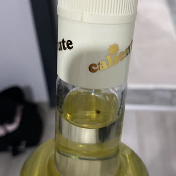 Kapalı Şişede Böcek: Hijyen Ve Güvenlik Endişesi