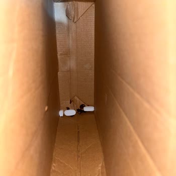 Kırık Ürün Ve Yetersiz Paketleme: Amazon Ve Orzax'dan Cevapsız Destek