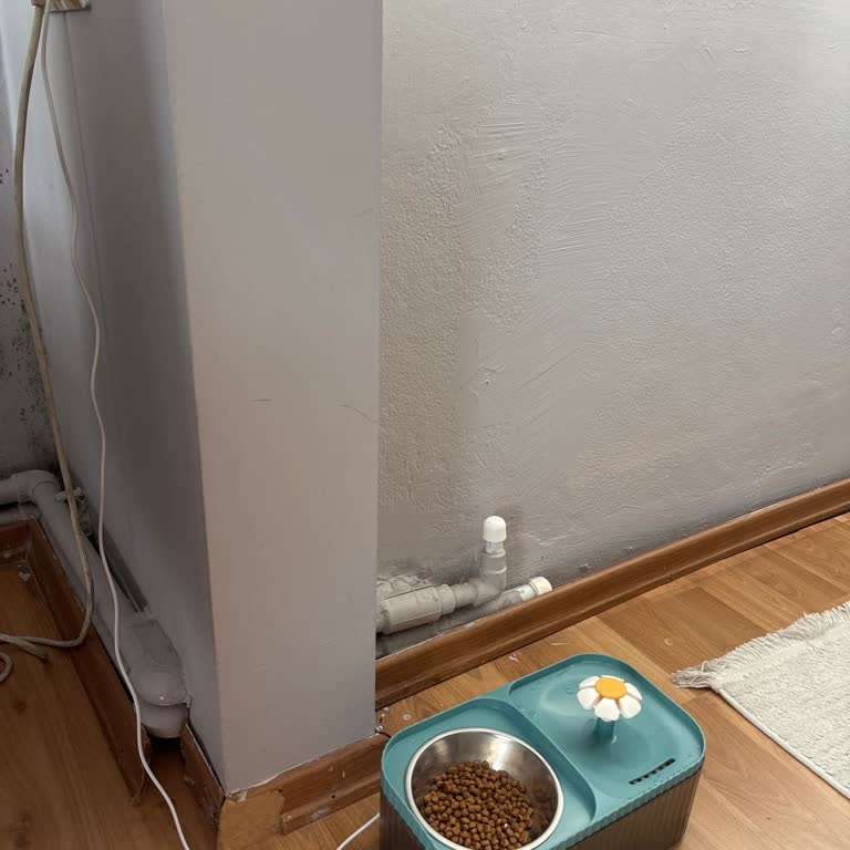 Su Akışı Kesilen Otomatik Mama Kabı İçin Hızlı Çözüm Talebi