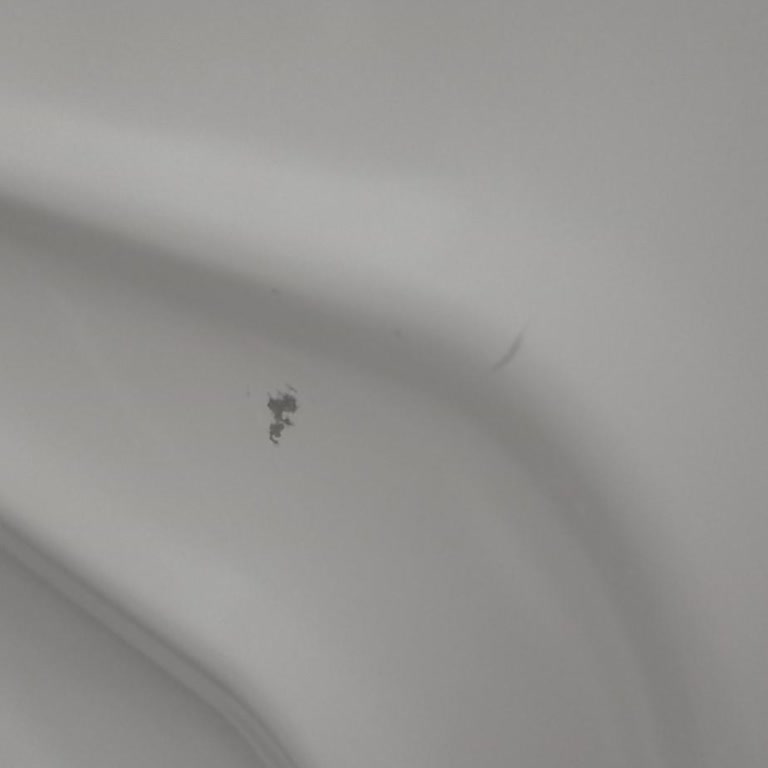 Randevu Saatimin İhlali Ve Servis Personelinin Kaba Tavrı