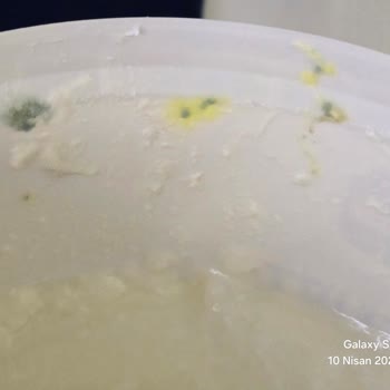 A101'den Alınan Calmio Yoğurdu Erken Küflenerek Çocuğumu Hastalığa Sürükledi