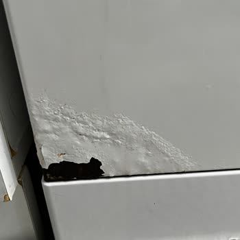 Arçelik'in Çamaşır Makinesi, Bulaşık Makinesi Ve Buzdolabında Tekrarlayan Paslanma Ve Garanti İhlali