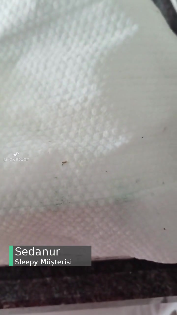 Sleepy Islak Mendil Sıkıntısı videonun kapak resmi